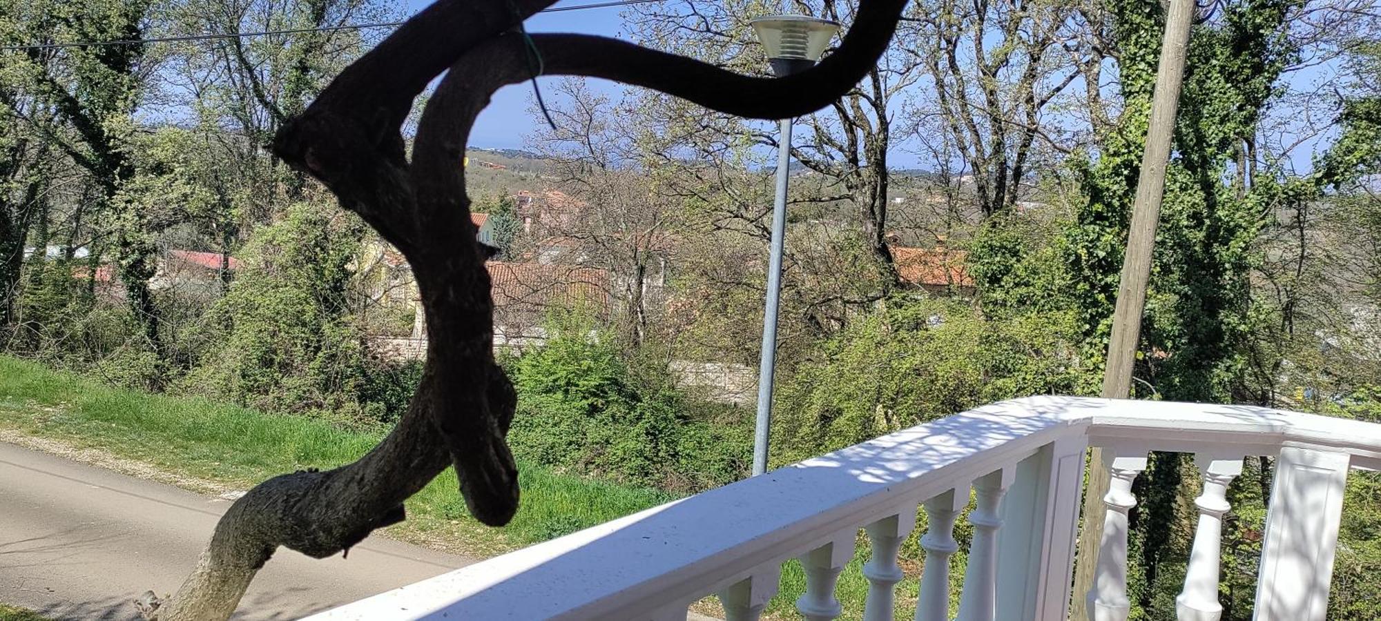 Vila Breskvar Mugeba Zewnętrze zdjęcie